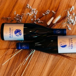Le Terroir des Vignobles 1316609