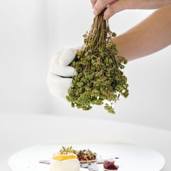 Marotta RIstorante 1398449