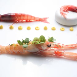 Ristorante Olimpo 1400226