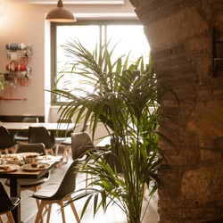 Roccia Viva Ristorante 911685