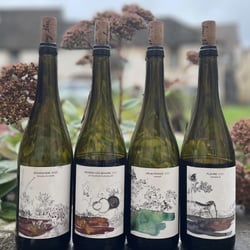 Simply Grapes 838663