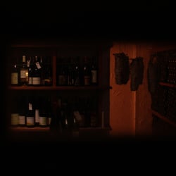 VINPLUS 953421
