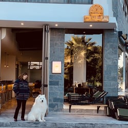 Dalia 717516