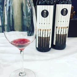 Babić Matosin Tasting Room 292187