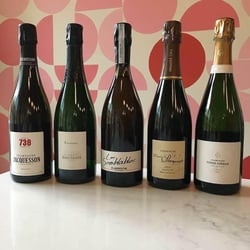 Bar Diane 228547
