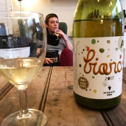 Forêt Wines 94490