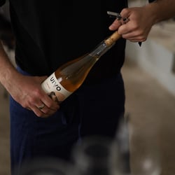 Le Céleste 637400
