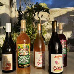 Amá Terraza 593153