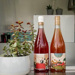 Pur Jus – bar à vin nomade – winetruck 467249