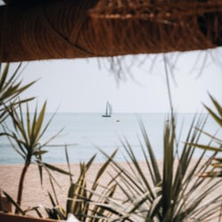 Amourette Plage 770698