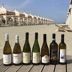 Bagno Patrizia 517899