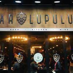 Bar Lupulus 157663