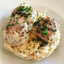 Bonvivant 12162