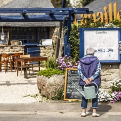 Canailles Guinguette 803017