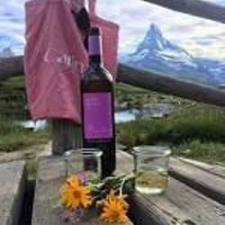 Carina Zermatt 294971