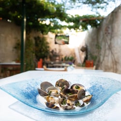 Caro Melo Osteria 800595
