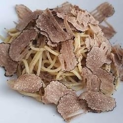 Cipetteria 275825