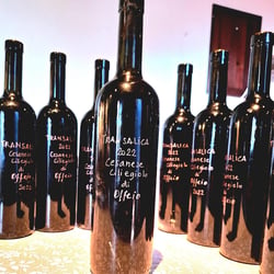 Dam Enoteca 774346