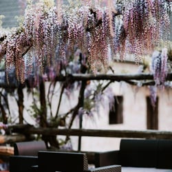 Enoteca al Portego 805782