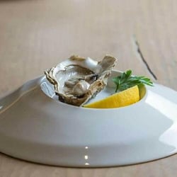 Enoteca Contemporanea 33081