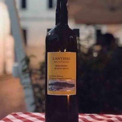 Hosteria Moderna 70040