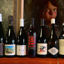 Mystic Picnic Wine & Whiskey Bar 606949