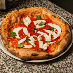 Panisfizio 806945