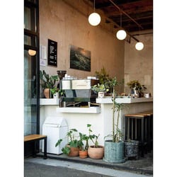 Cicatriz Cafe 50819