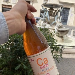 Le tartarughe bar e bottega 806362