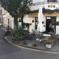 Vitis 221011