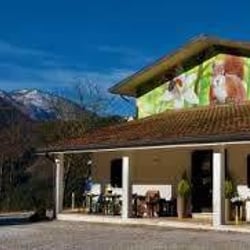 Albergo Ristorante “Da Febo” 282532