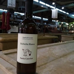 Alvinelli Modena 372220