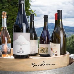 Bucolica Wine Garden 353189