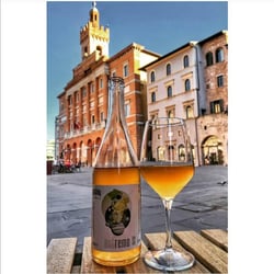 Enoteca Artemisia 384998