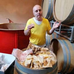 Enoteca Artemisia 385000