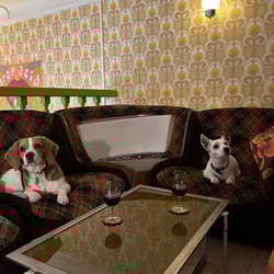 Fanfan & Loulou 611008