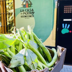 la casa del perro 698179