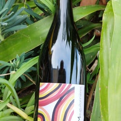 La Paulette 723057