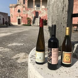 Masseria Spina Resort 248054