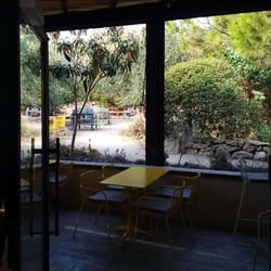 Picamandil 791374