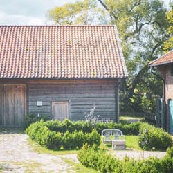 Kwaśne Jabłko 594273