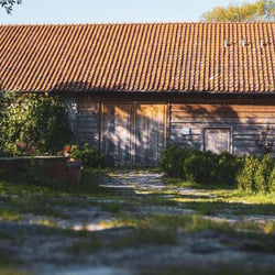 Kwaśne Jabłko 594661