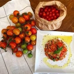 Vino al vino 89075