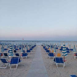Vinoammare concessione 80 637547