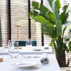 Vitanova ristorante al Lido 353829