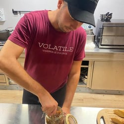 Volatile Vineria 500032