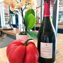 Salotto Bohémien Wine Lounge Terrace 777738