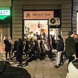 Savant Bar 91015