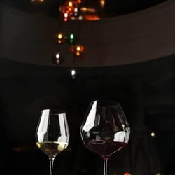 Sekta organic wine bar 232528