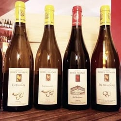 Terres à Vin des Villes 9613